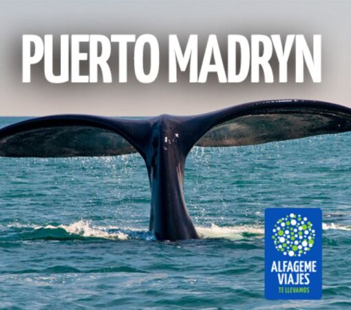 PUERTO MADRYN